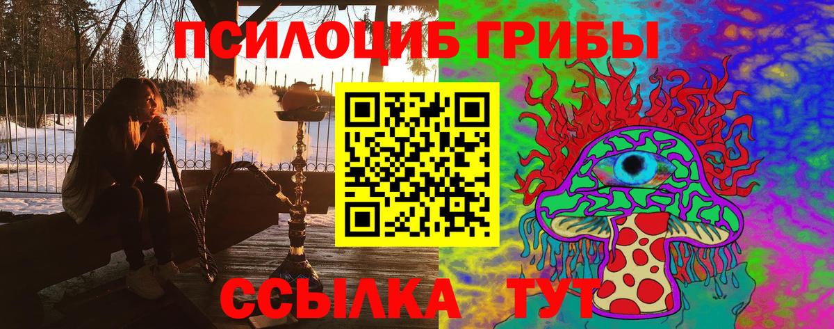 Псилоцибиновые грибы Psilocybe  Вход с VPN  Узловая  Галлюциногенные грибы мицелий 