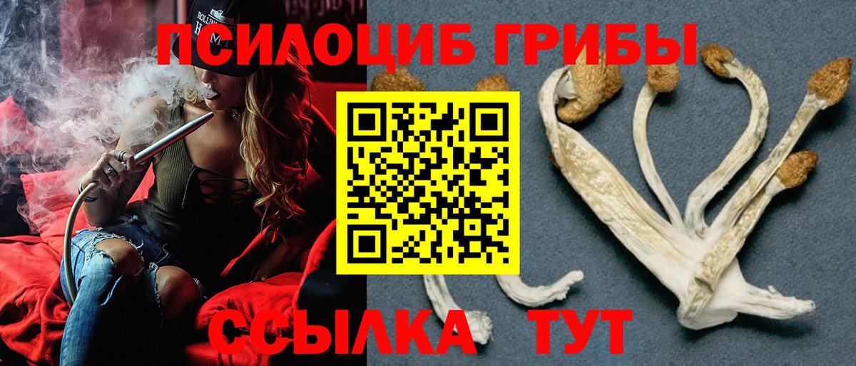 Псилоцибиновые грибы Cubensis Узловая